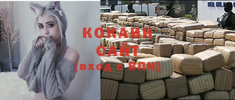 Cocaine Fish Scale  купить  сайты  MEGA ссылки  Медынь 